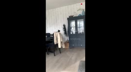 'Careless Cat Hops on a Closet and Breaks Vase'