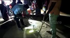 Snake catchers free deadly cobra from fishing net in eastern India