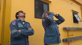 Hundreds of bees attack workers repairing 70ft advertising billboard