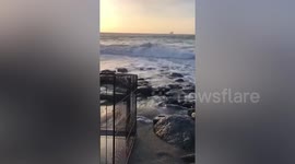 Heartwarming moment injured seal tangled in fishing lines is released into the ocean in Cornwall