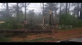 Aftermath of deadly Alabama tornado