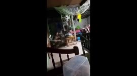 When my son heard cocomelon