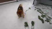 temp
