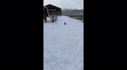 temp
