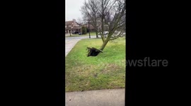 US: Strong Winds Down Trees And Cause Power Outage In Upstate New York