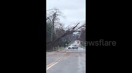 US: Strong Winds Down Trees And Cause Power Outage In Upstate New York 2