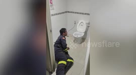 Terrifying moment python is caught in toilet after striking man’s bottom