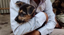 Kids loved with baby dog