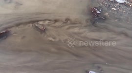 Celestial stream of water on US man's driveway leaves Redditors dazzled