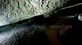 Rescuers save dog trapped under huge boulder in Thailand
