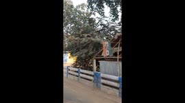 Views of West Bengal. A under developed area.