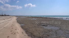 Greek locals fear potential earthquake as tide remains low for almost four weeks