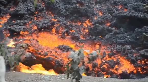 Pacaya volcano in Guatemala erupts, large lava rivers have descended from the colossus and endanger hundreds of families