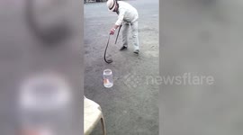 Serpent expert rescues snake from puncture shop in central India