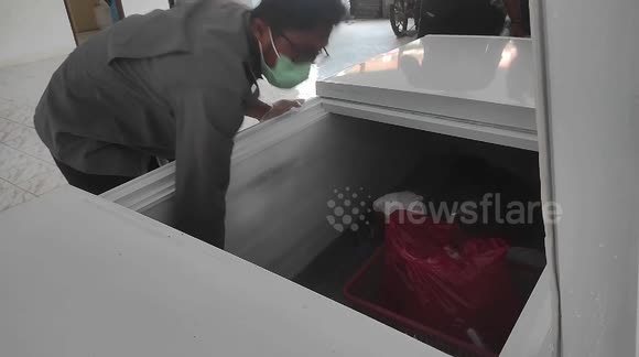 Indonesian authorities thwart smuggling of endangered Crocodile in Pekanbaru