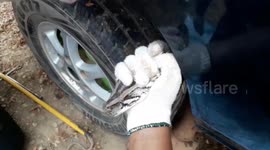 Farmer who forgot petrol cap finds 7ft long python slithering into fuel tank