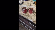 temp