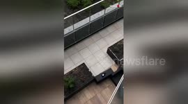 'Best save of all time' as Champagne bottle survives long fall from balcony