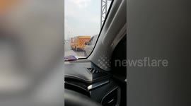 Buffalo family cause traffic jam after wandering onto motorway