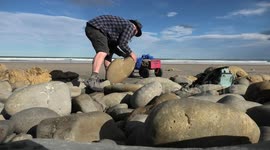 New Zealander documents as he attempts to transport 180-kilogram fossil from beach to car