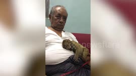 Rescued baby monkey pet sleeps on old man’s tummy in Myanmar