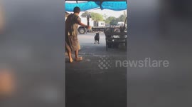Owner fools pet dos by giving them ‘invisible food’ in the Philippines