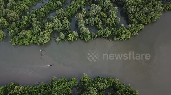 Mangrove forest in the fishing village of Belawan as an effort to protect the environmental ecosystem