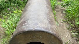 Bee Flying around Civil War Vintage Artillery at Fort Gorges in Casco Bay, Maine