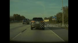 Hit and Run in Tampa, FL [Tesla Model 3, Ford Focus]