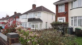 Two dogs that brutally mauled a grandmother to death in her own garden are to be destroyed