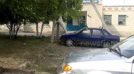 Goat climbed on top of the car