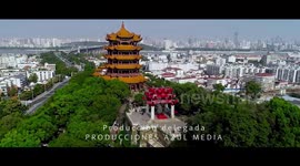 COVID-19: LA GRAN PANDEMIA | ORÍGENES | HD | VIBES FILM STUDIO