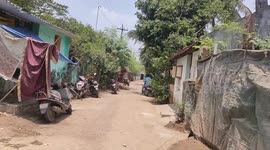 Just now rescue snake