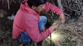 Rat snake trapped in a fish net