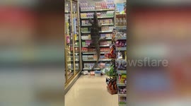 Rampaging monitor lizard raids supermarket and climbs on shelves in search of food