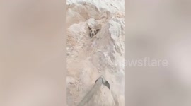 Hapless stray dog rescued after digging hole in sand and getting stuck