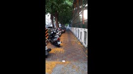 Let's be colorful and flow freely and vibrantly like flowers in Spring