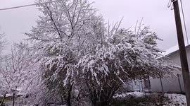 Serbia hit with April snow