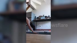 Cheeky pet dog distracts owner from doing exercise workout