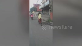 Pet cat sits on owner’s shoulders while riding a bike together