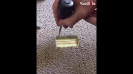 Carpet repair specialist shares his intricate technique to TikTok