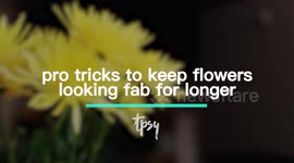 Spring Gardening Tips! Make Flowers Last Longer By Using Vodka, Hairspray, and More