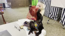 Cody Unwrapping his Present - He Could be Unwrapping your product!