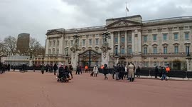 Buckingham Place live