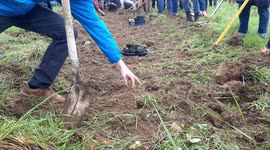 Protesters starts to garden and plant to defend natural area in Rennes, France