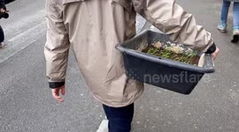 Protesters bring vegetables and plants for gardenning on threatened natural area in Rennes, France