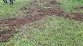 Protesters are pushed back by the police while they defend local natural area