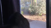 temp