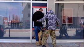 Dog trained to protect its owner from attacker at an ATM in Sarajevo