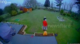 Couple capture astonishing footage of large black cat sprinting across their paddock after killing a chicken amid fears a PUMA could be on the loose